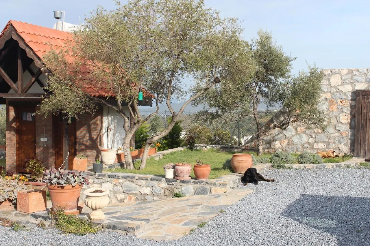 ホテル Olive Garden Retreat Milas トルコ